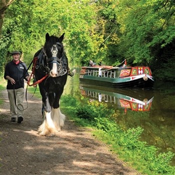 Hungerford & Horse Boat Canal Cruise